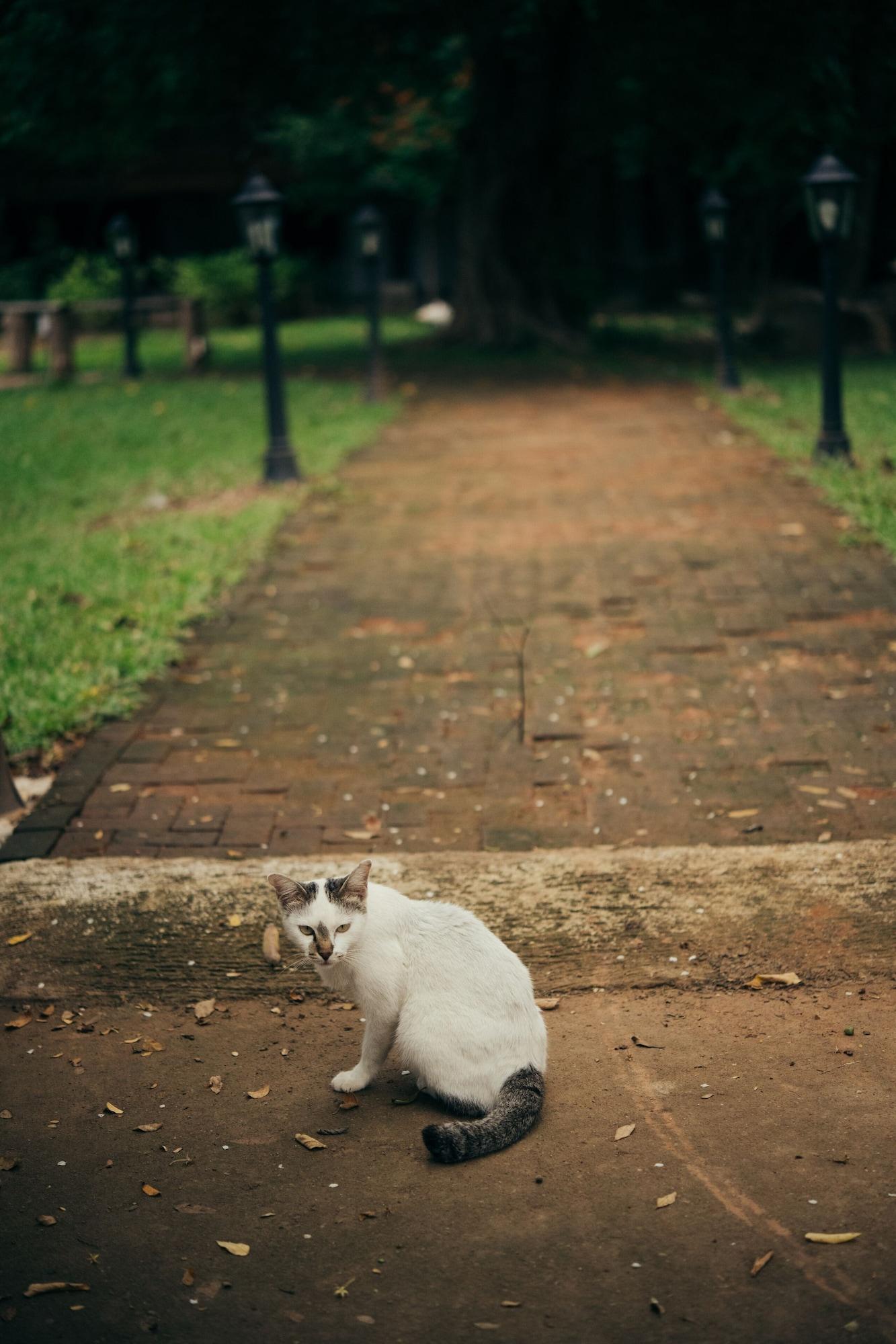 Chompor Lanna Hotel Chiang Mai Luaran gambar