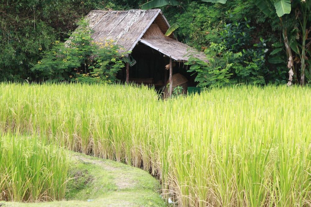 Chompor Lanna Hotel Chiang Mai Luaran gambar