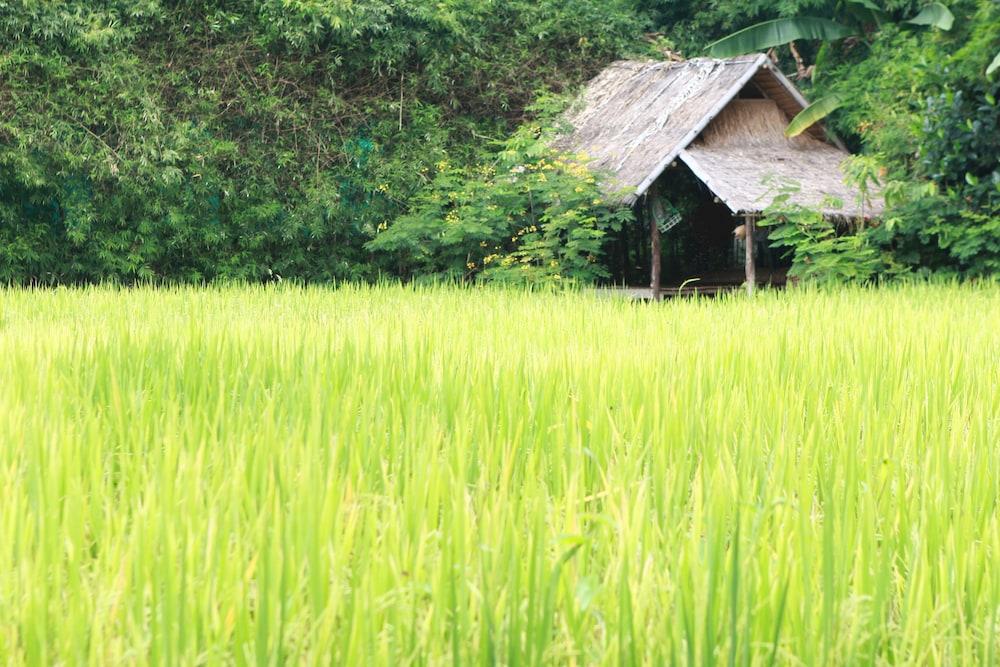 Chompor Lanna Hotel Chiang Mai Luaran gambar